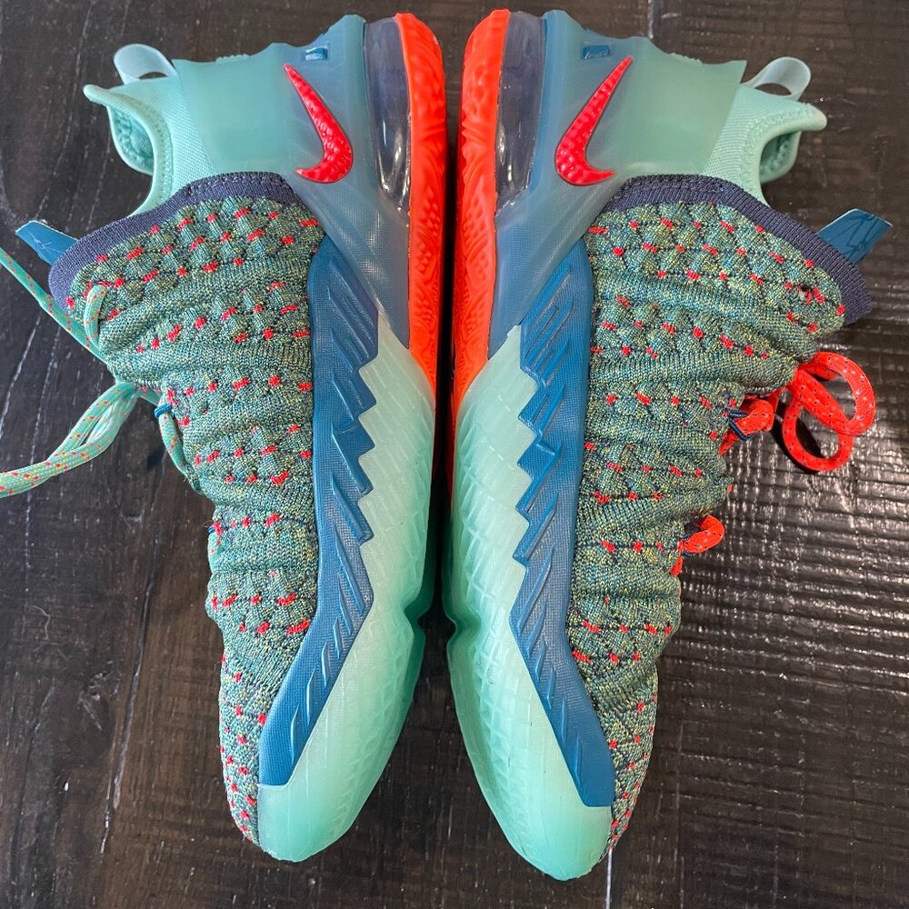 Nike Lebron 18 We Are Family